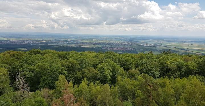 Forsthaus Winterstein